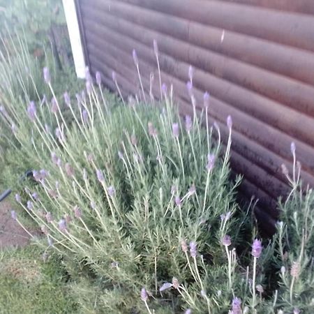 Coco De Mer - Self Catering Log 2 Ламбертс-Бей Экстерьер фото
